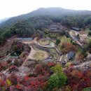삼성궁 이미지
