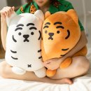 자이언트 이미지