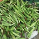 보현농장 이미지