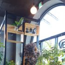 비비당구장 이미지