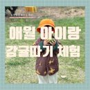 탐나는농장감귤체험카페