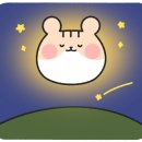 와이즈아동발달센터 네이버블로그
