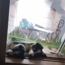 수림밸리펜션 이미지