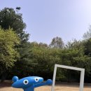 25 세종대전 2박3일 / 참치정육점 mubake 성심당롯백점 카이스트피크닉 땡구땡구 시민칼국수