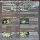 유네스코 세계유산 공주 마곡사...국보승격된 5층석탑 인상적