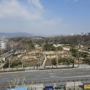 자이온 태권도 이미지