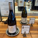 와인 루아르 카베르네 프랑 라셰또 쉬농 비에유 비뉴 2022 후기(LaCheteau Chinon Vieilles Vignes 2022)