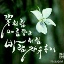꽃못 이미지