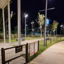 멍멍스타 이미지