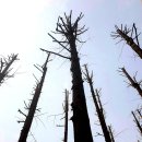 Holy Place 이미지