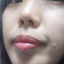 트라이벨벳 이미지