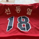 8 | [야구가 있는 삶] 2026년 기아타이거즈 경기 후기 (feat. 8연승+의리 이즈 백)