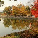 Grand hanok 이미지