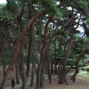 산소 이미지