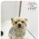 경희궁 바른 동물병원 이미지