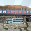 대영레포츠
