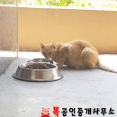 김천여자중학교 이미지