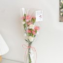 플랜트 이미지