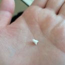 이원치과의원 이미지