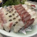 자갈치횟집 이미지