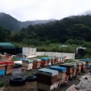 만세동농장 이미지