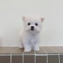 카페품은 집 이미지