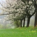 오늘도예쁘다 이미지