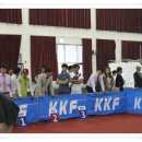 프라이드 켄넬 이미지