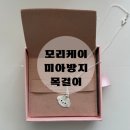 퍼피모리 | 모리케이 미아방지목걸이 실버 내돈내산 사용후기