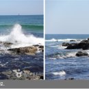 바다향기로 이미지