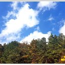 내서면 노류리 이미지