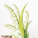 색연필 드로잉 이미지