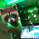 플레이코인노래연습장 이미지