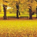 가을이네 이미지