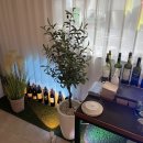 파스타301 이미지