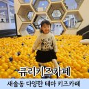큐리프리미엄키즈카페 | 새솔동 키즈카페 큐리키즈카페 내돈내산 솔직후기