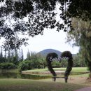 에버그린골프클럽 이미지