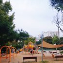 성남종합운동장 인공암벽장 이미지