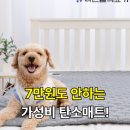 동의의료기 | 7만원도 안하는 가성비 탄소매트! 한일의료기 전기매트