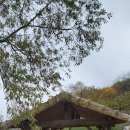 정신포목 이미지