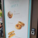 하레하레 이미지