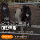 남원읍-70 | 제주 신상 핫플! 70년 만에 공개된 비밀의 숲 '대한목장' 1월 방문 후기