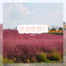 (주)안성목장 | 안성팜랜드 실시간 핑크뮬리 생일 할인 입장권