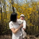 에이치개발 | 산후탈모 고민 | 탈모앰플 사용후기 | 바오에이치랩