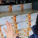 이강인농장 이미지