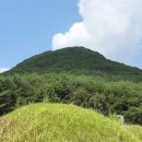 김극뉴 묘역 이미지