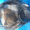 SK목포주유소 이미지