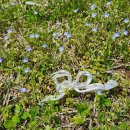 7-1 패션의상 제작 및 수선창업과정 Ⅰ(스커트, 바지, 블라우스) | 샵사이다 SHOPCIDER 마른 체형 사이즈 팁 배송ㅣ봄옷 추천템 코디 구매후기