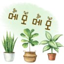 블루버드 이미지