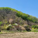 용천2리경로당 이미지